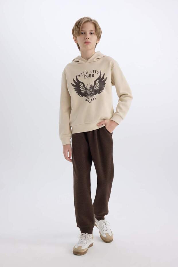 Boy's 2-Piece Set Hooded Printed Thick Sweatshirt Elastic Waist Sweatpants E1931A824Cw