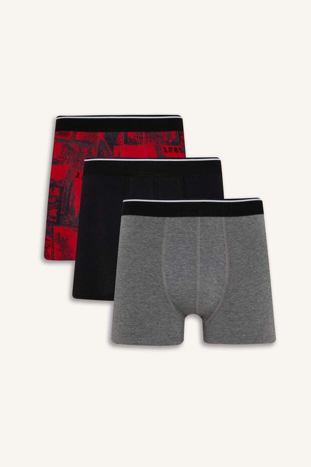 Regular Fit 3-Pack Boxer E0116Ax24Au - 1