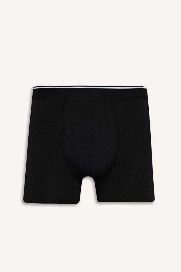 Боксерки Regular Fit 3lü E0125AX24AU - 5