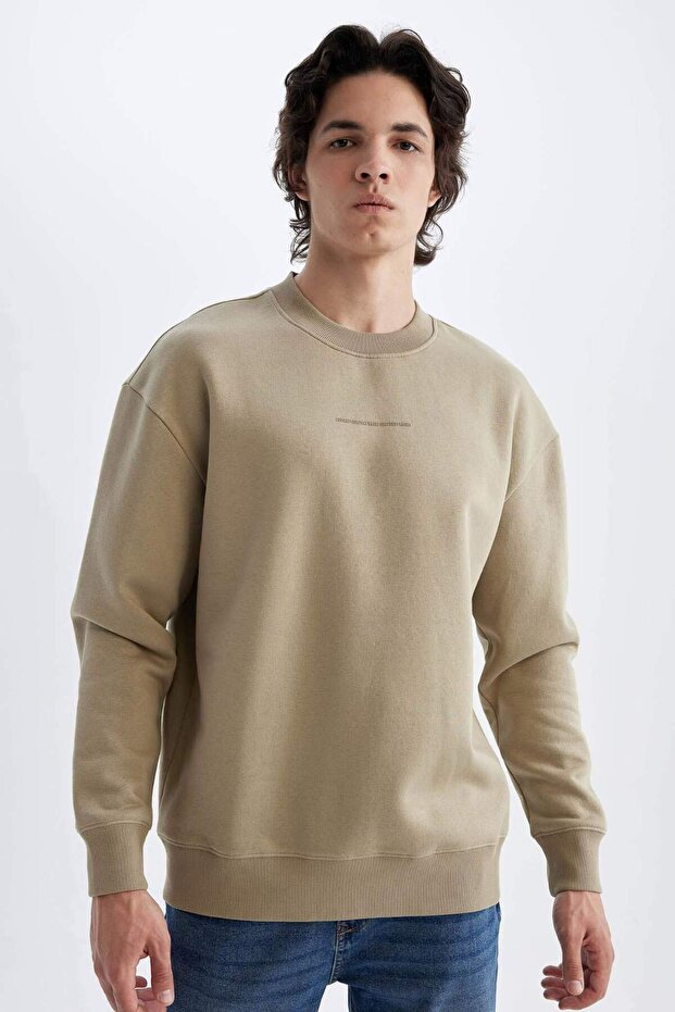 Boxy Fit Crew Neck Printed Sweatshirt 3124494