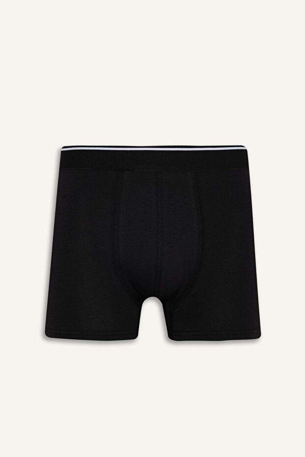 Regular Fit 3-Pack Boxer E0116Ax24Au - 5