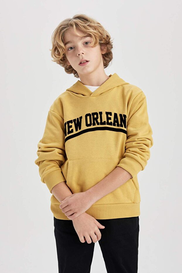 Boy's Printed Hooded Thick Sweatshirt B9000A823Cw