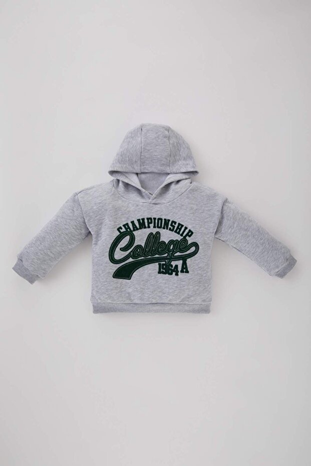Baby Boy Hooded Printed Soft Fleece Sweatshirt B5312A523Wn