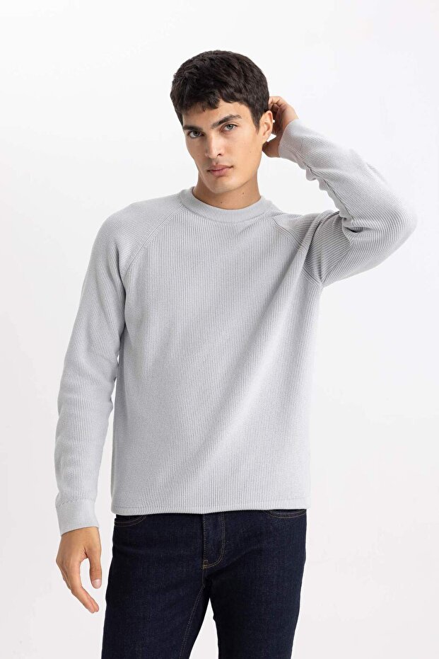 Standard Fit Regular Fit Rundhalsausschnitt Basic Solid Strickpullover A8458AX24SP - 4