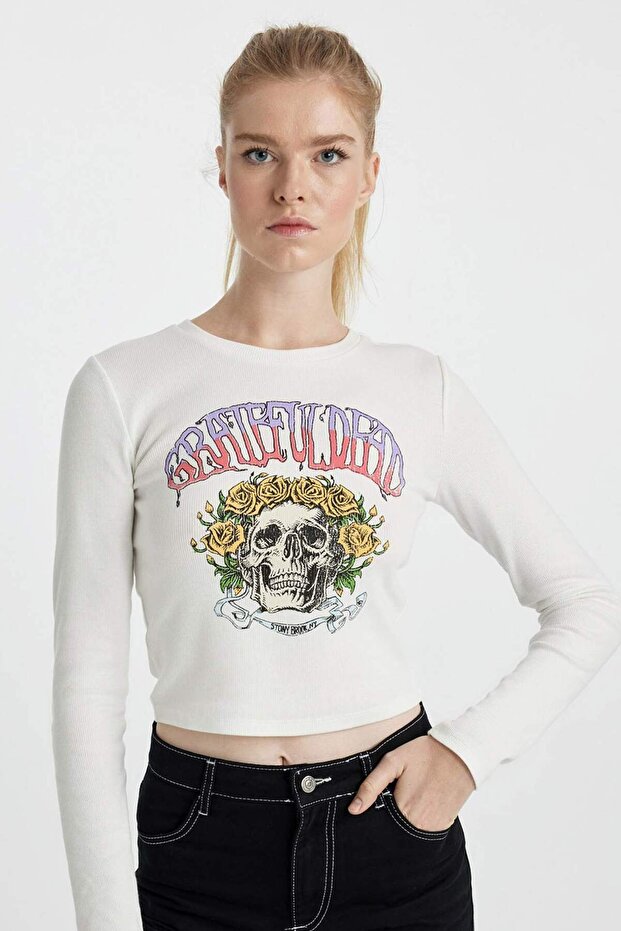 Attack on Titan Fitted Crew Neck Corded Fabric Ribbed Knit Long Sleeve T-Shirt B3030Ax23Au