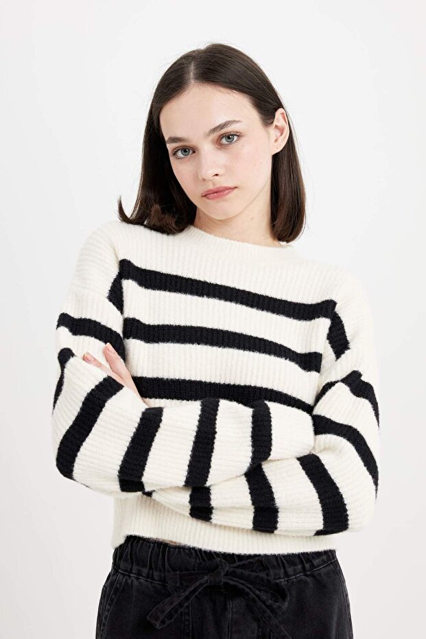 Regular Fıt Bisiklet Yaka Triko Kazak R1285AZ23CW - 4