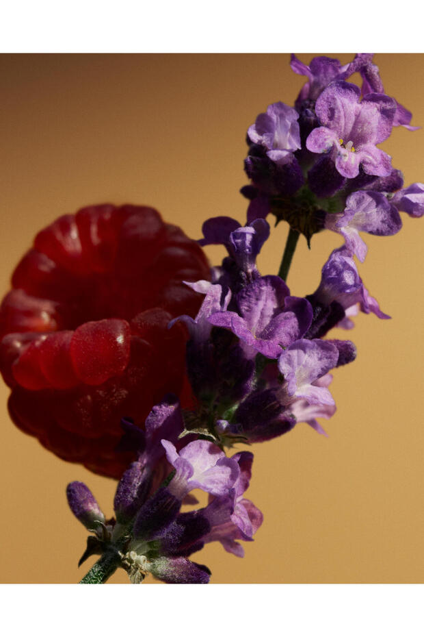 Goddess Parfum 100 Ml - 8