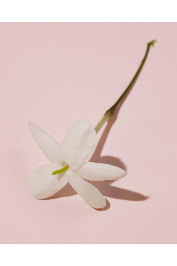 Her Elixir - Eau de Parfum for Her - 6