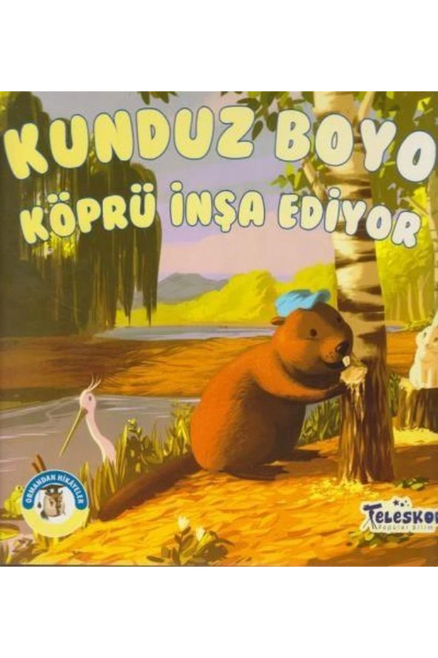Ormandan Hikayeler-kunduz Boyu Köprü Inşa Ediyor