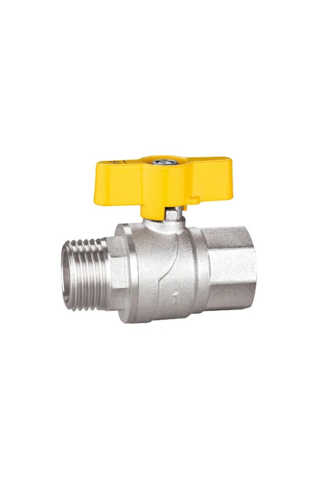 Robinet gaz fluture 1' FI-FE