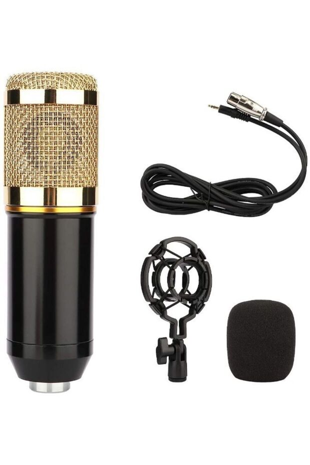Condenser Professional Recording Microphone Mic Kit
