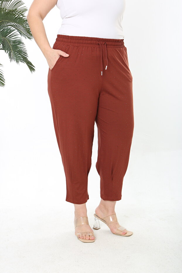 Women's Plus Size Lycra Pants