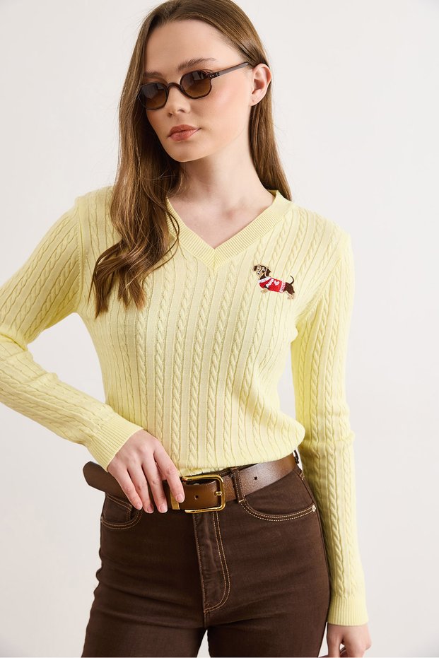 Women's Yellow V-Neck Dog Embroidered Hair Knit Knitwear Blouse Blz-19003265