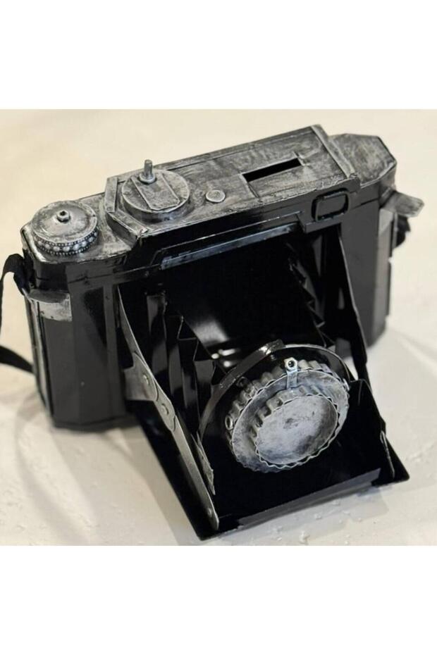 Antique Camera Decor - 2