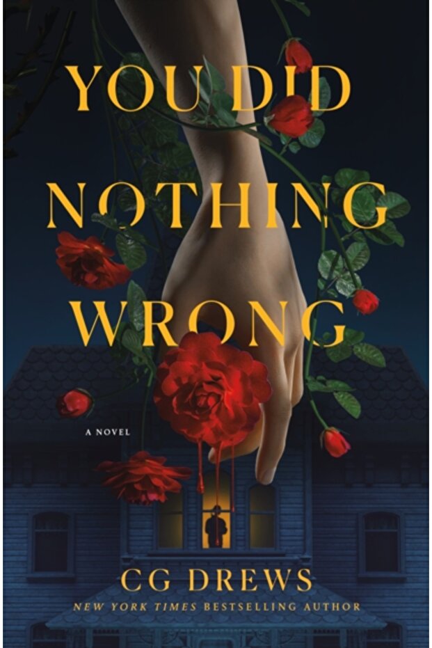 You Did Nothing Wrong - 1