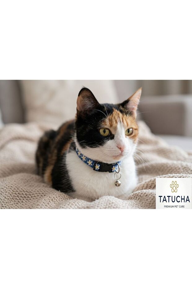 Premium Galaxy Harmony – Cat Collar (Special Collection) Dark Blue