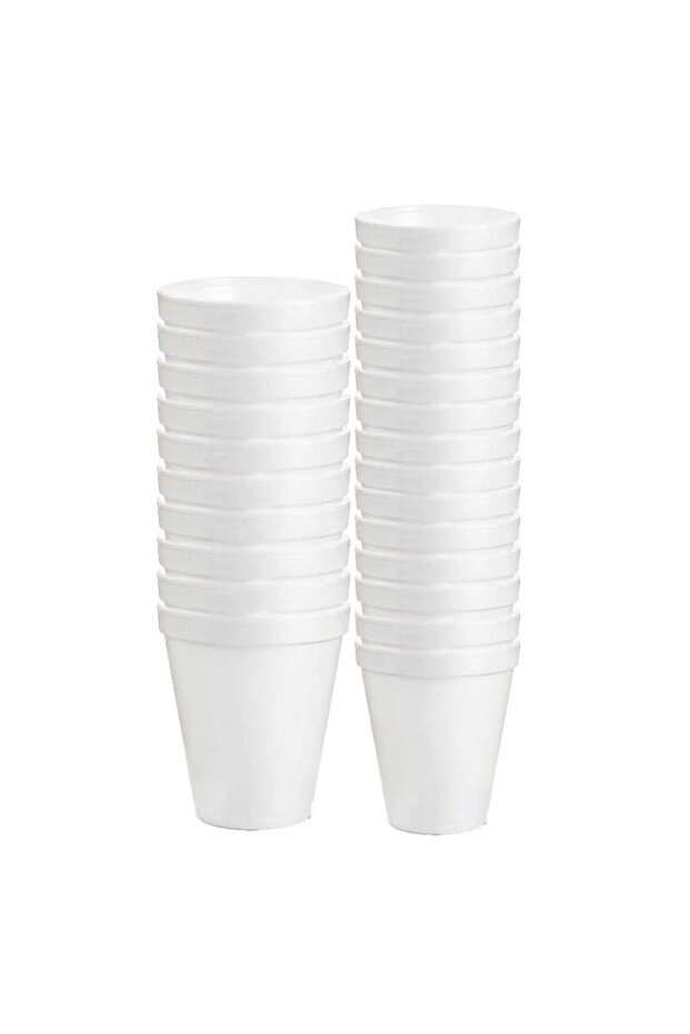 Deluxe Disposable Paper Insulated Foam Hot Beverage Cups (6oz, 25s)