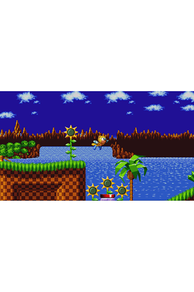 Sonic Mania Plus (Switch) - 5