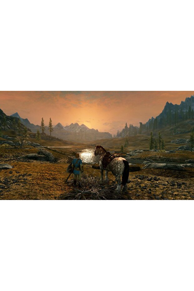 THE ELDER SCROLLS V: SKYRIM - SWITCH - 7