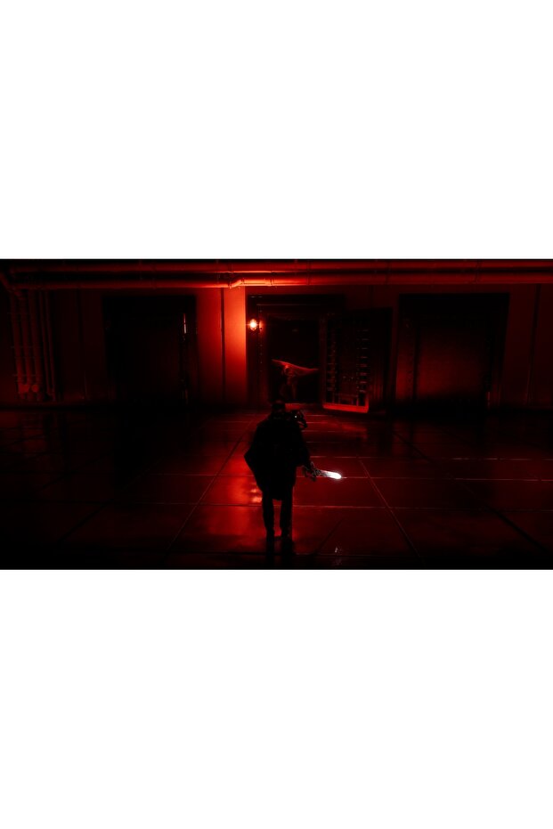 HELL IS US EDIȚIE DELUXE (COD ÎNTR-O CUTIE) - PC - 4