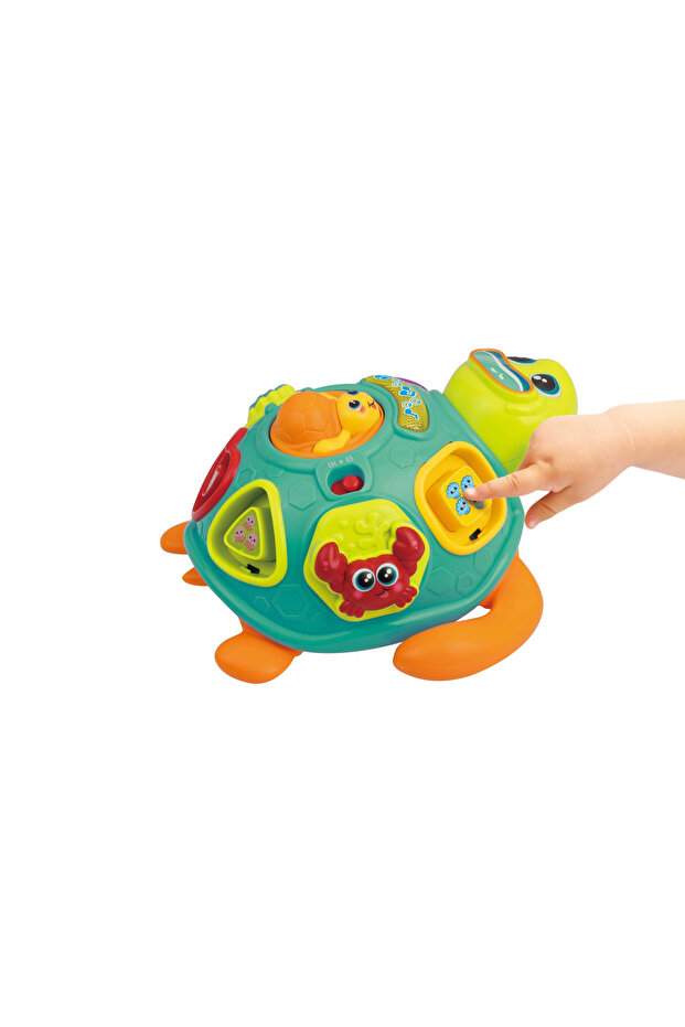 Pull Along Sort 'N Learn Turtle (240301-NL) - 7