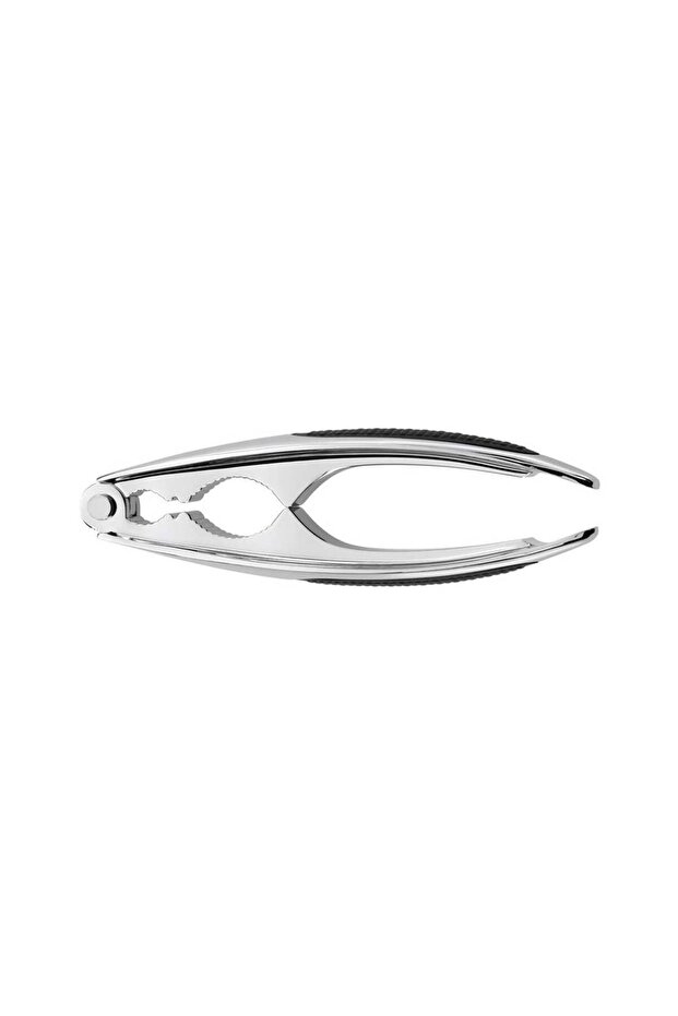 Ceviz ve Fındıkkıran - 1