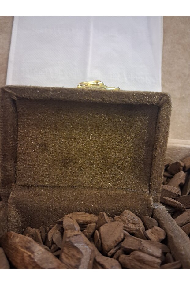 عود موروكي محسن كبار الشخصيات - 2