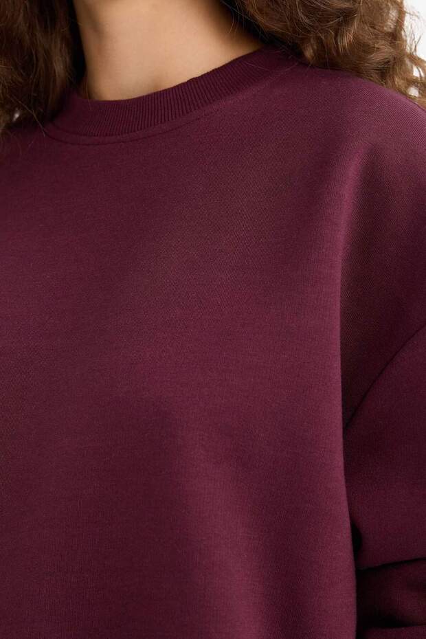 Kalın Basıc Sweatshirt D6645AX25WN - 5