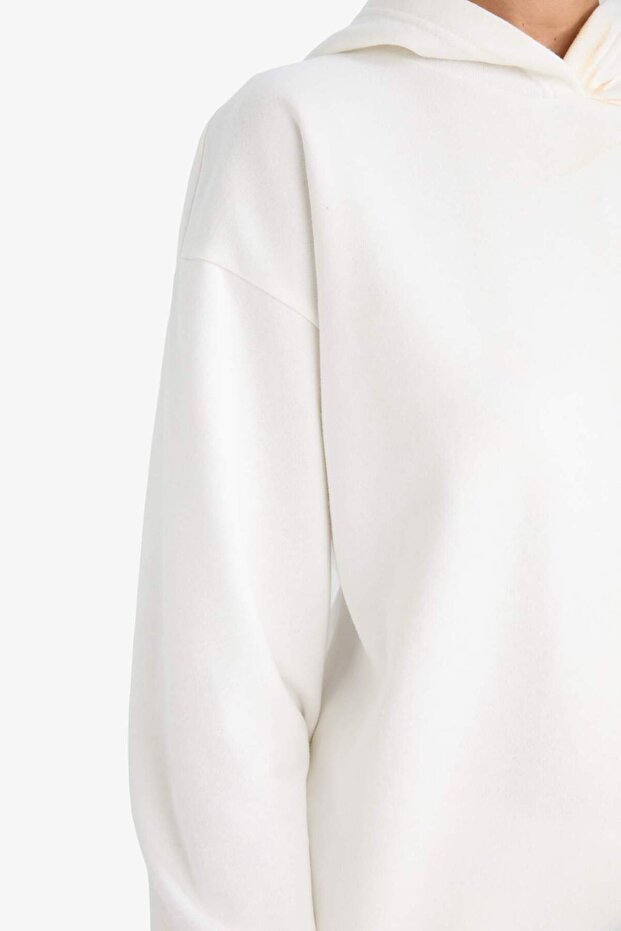 Relax Fit Kapüşonlu Basıc Kalın Sweatshirt D9935AX25WN - 5