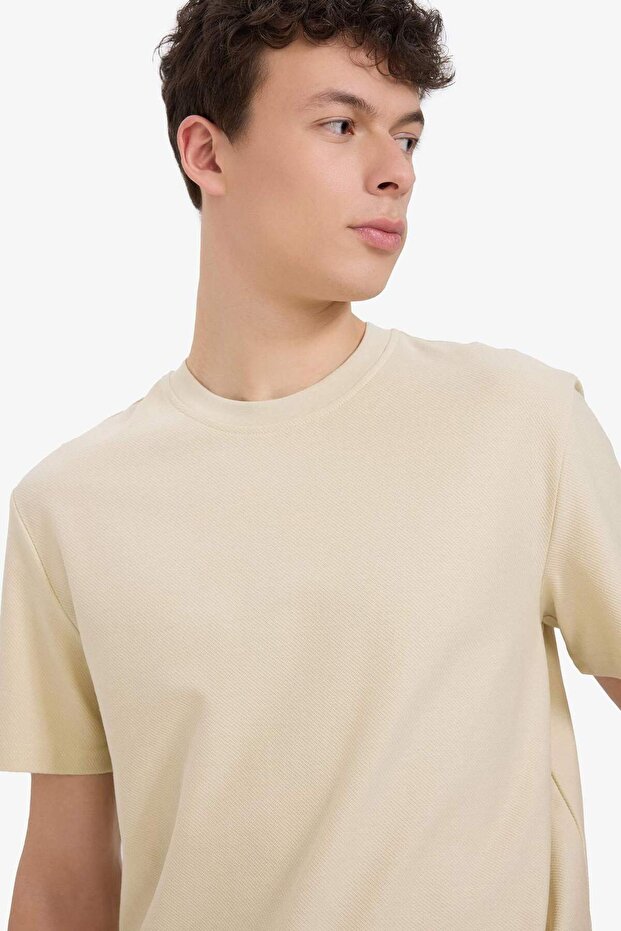 %100 Pamuk Regular Fit Bisiklet Yaka Kısa Kollu Ağır Kumaş Tişört E2589AX25SM - 4