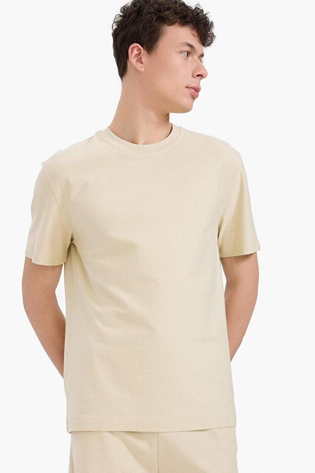 %100 Pamuk Regular Fit Bisiklet Yaka Kısa Kollu Ağır Kumaş Tişört E2589AX25SM - 1