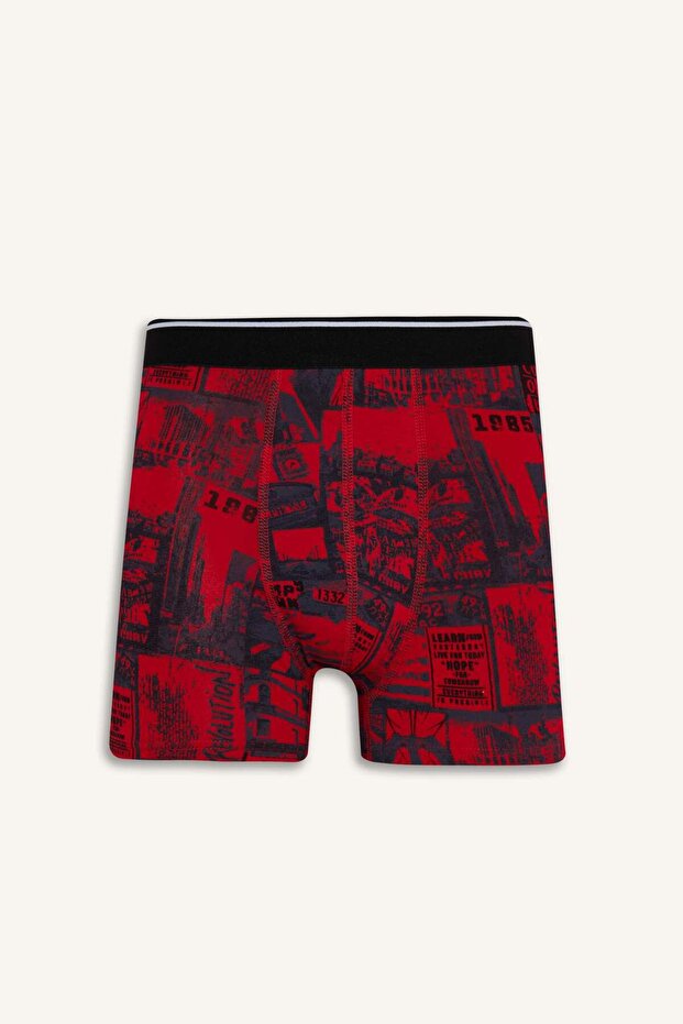 Regular Fit 3-Pack Boxer E0116Ax24Au - 2