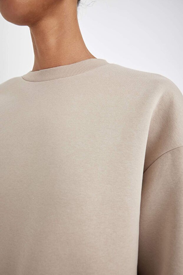 Boxy Fit Kalın Basıc Sweatshirt B8568AX24WN - 5