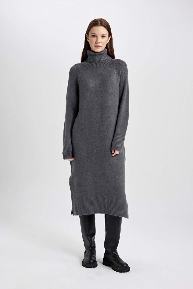Regular Fit Turtleneck Long Sleeve Dress C1932ax23wn
