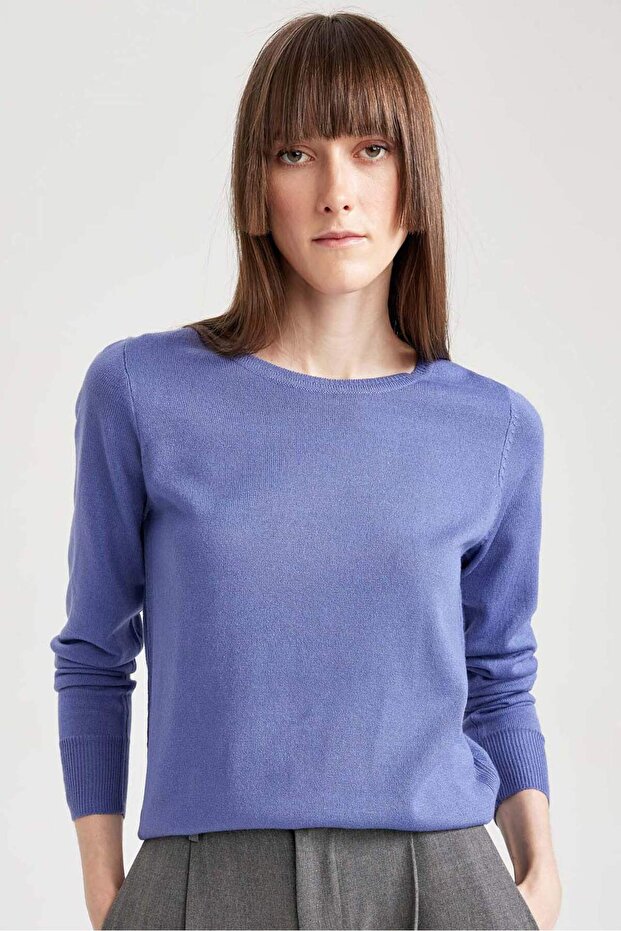 Regular Fit Crew Neck Soft Textured Basic Plain Knitwear Sweater F7091Az23Wn