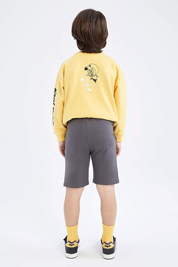 Boy's Basic Bermuda Shorts Z5289A623Sm - 5