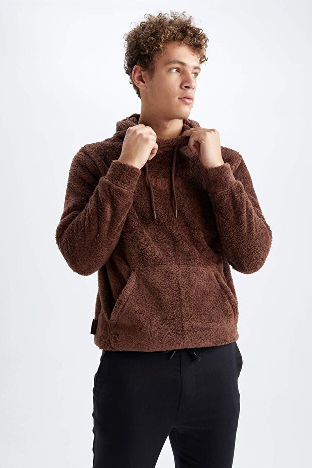 Regular Fıt Kapüşonlu Baskılı Pelüş Sweatshirt Y5556AZ22WN - 3