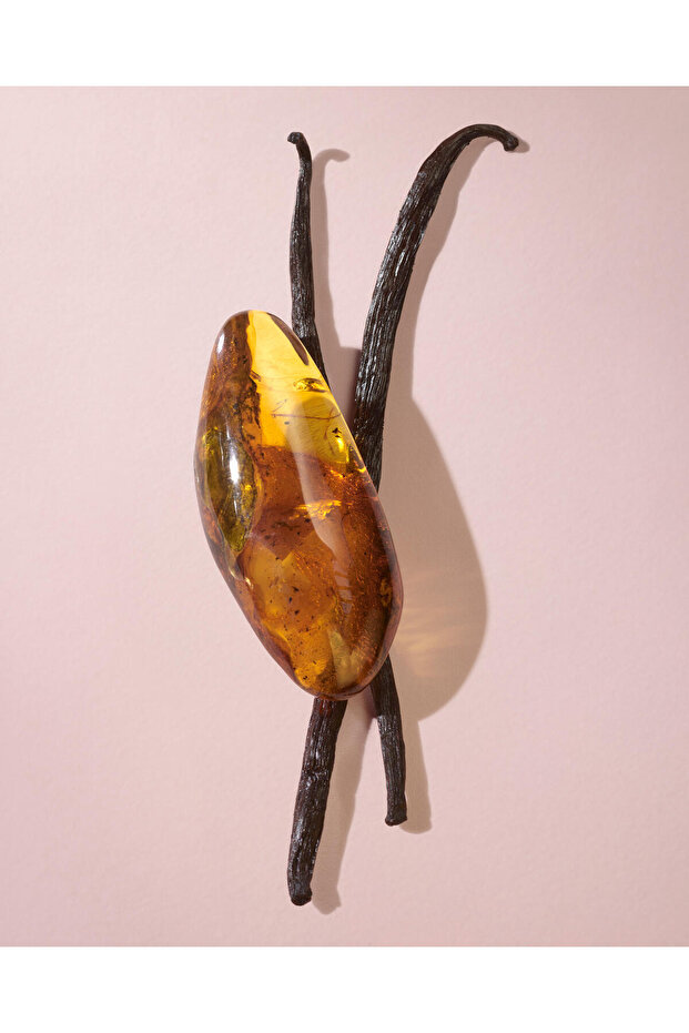 Her Elixir - Eau de Parfum for Her - 7