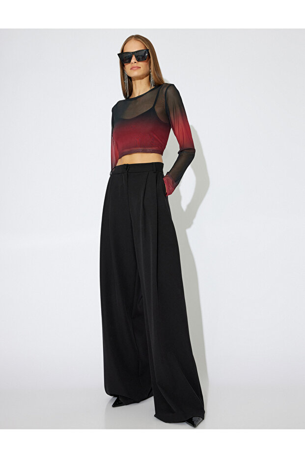 Gradient Long Sleeve Round Neck Tulle Crop T-Shirt