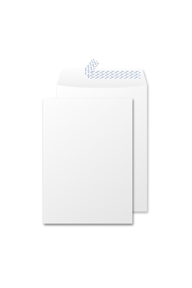 Self Sealing Mailing Envelopes (10x15 Inch) 50 pcs, 100 GSM for Posting, Office & Ecommerce - White