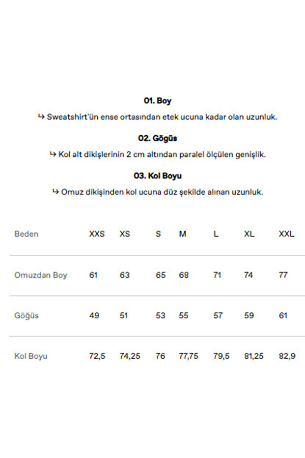 Flamingo Fitilli Sweatshirt - Flint Mavi - 3