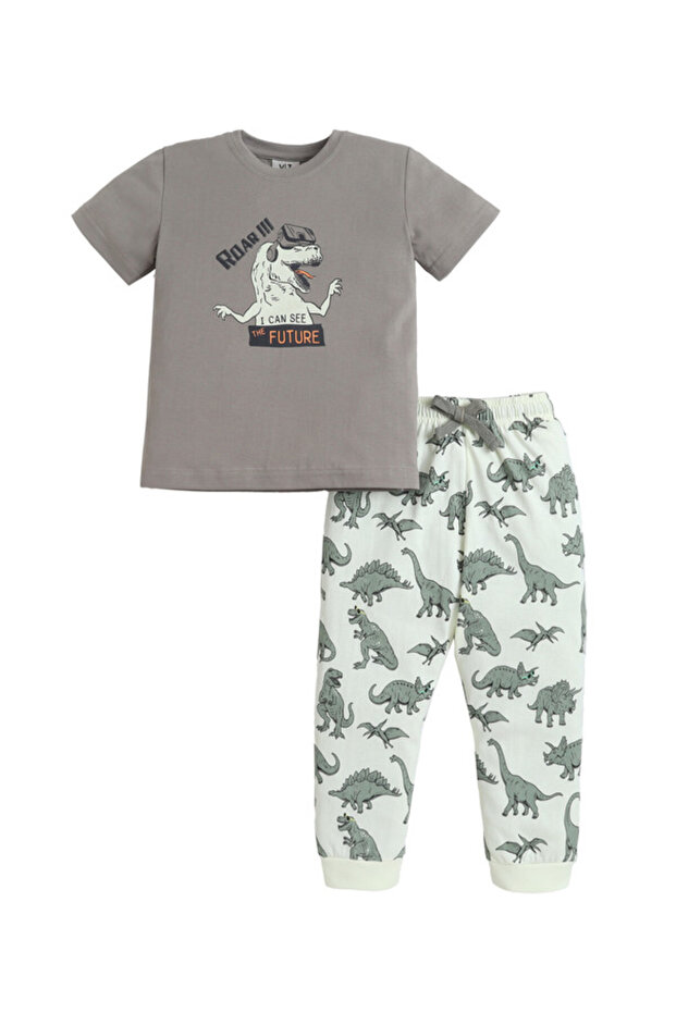 Boys’ Pajama Set – Dino Graphic Cotton Nightwear (2-Piece Set)