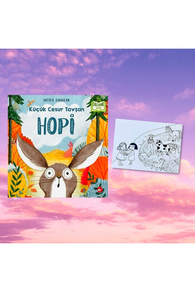 Little Brave Rabbit HOPİ / Organic Book / Hardcover / Postcard Painting Gift