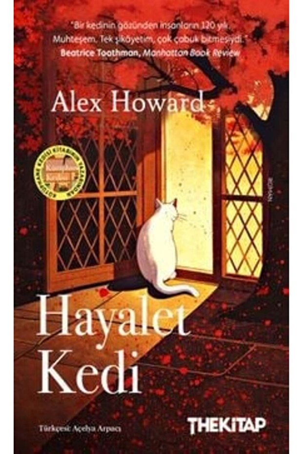 Hayalet Kedi