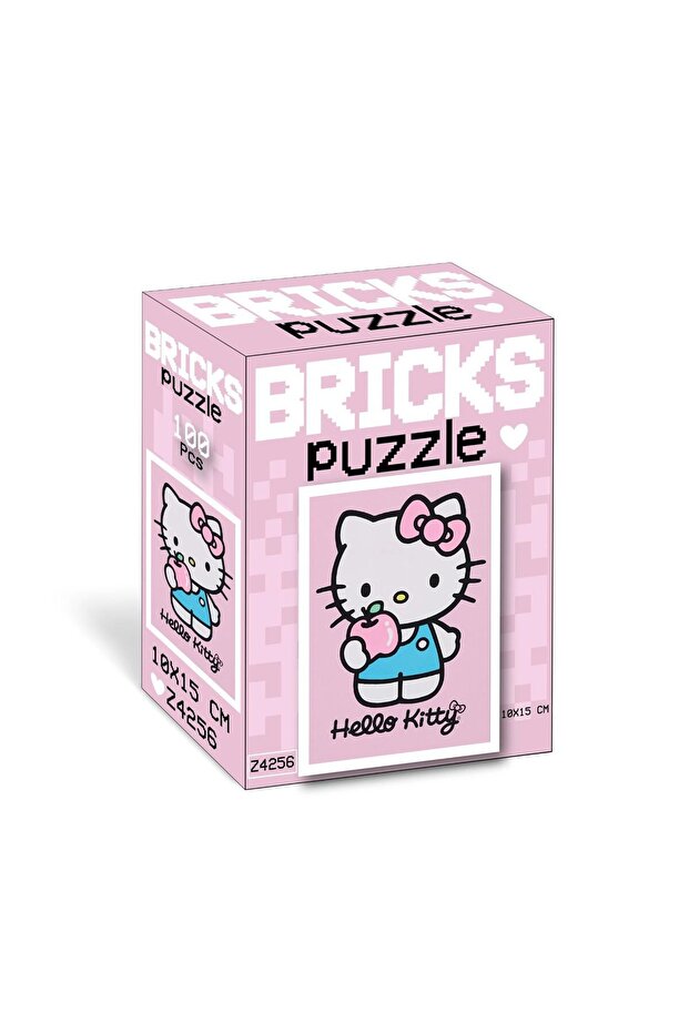Brıcks puzzle 100 parça