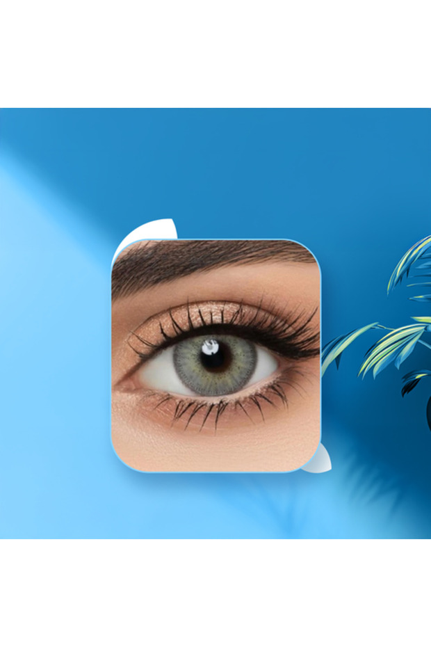 Lens Me Stone - 6