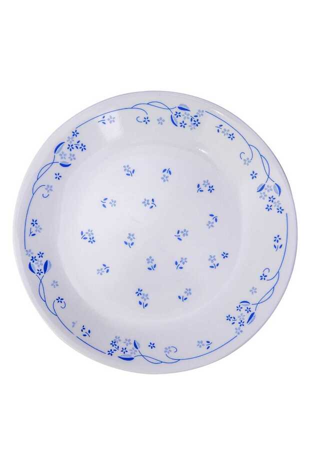 Lunch Plate