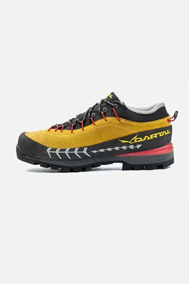 Qartal Benro Outdoor Shoes