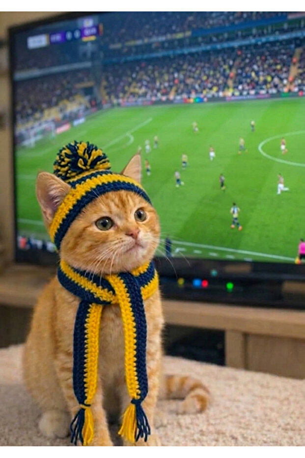 Hand Knitted Yellow Navy Blue Fan Cat Hat and Scarf Pet Accessory