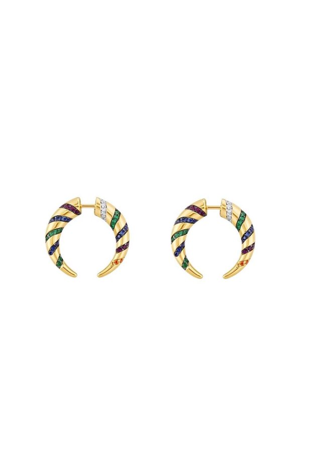 Colorful stone horn earrings